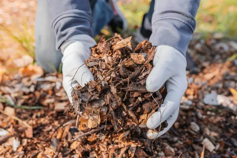 What Does Mulch Do Sandy Springs, GA