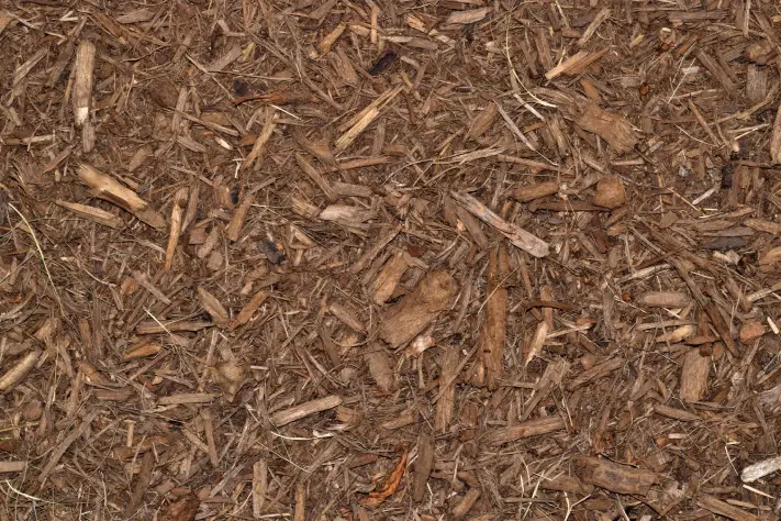 Mulching Sandy Springs, GA