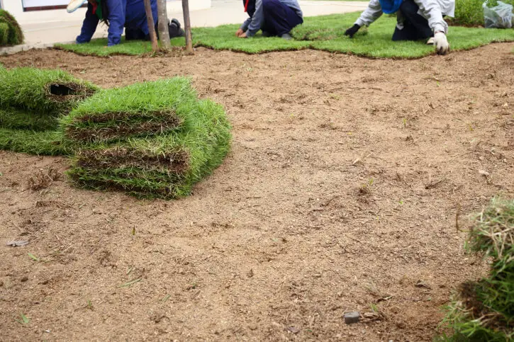 Sod Installation in Sandy Springs, GA - Landscaper