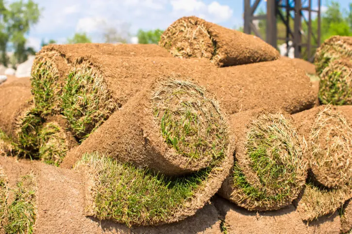 Sod Installation in Sandy Springs, GA