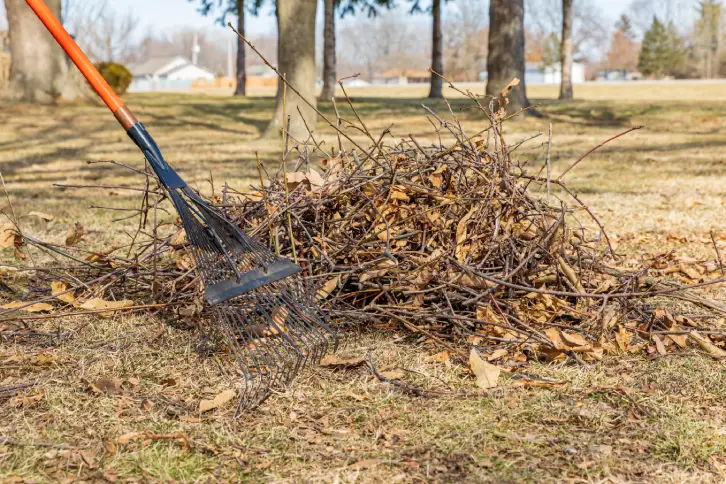 Yard Cleanup Sandy Springs, GA