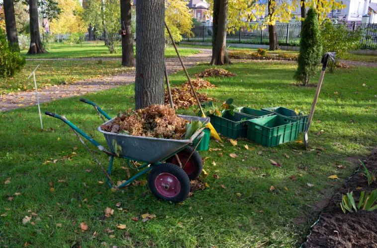 Yard Cleanup in Sandy Springs, GA - Landscaper